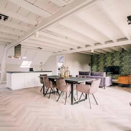 Xxl Loft Center Willem 2 Apartment Tilburg