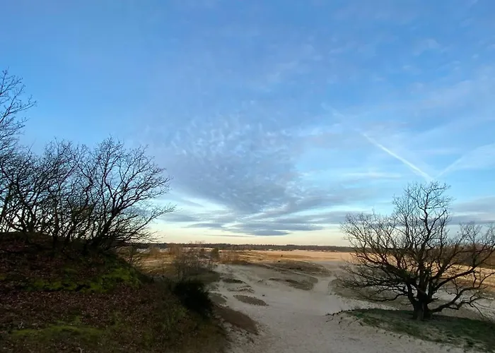 Xxl Loft Center Willem 2 *