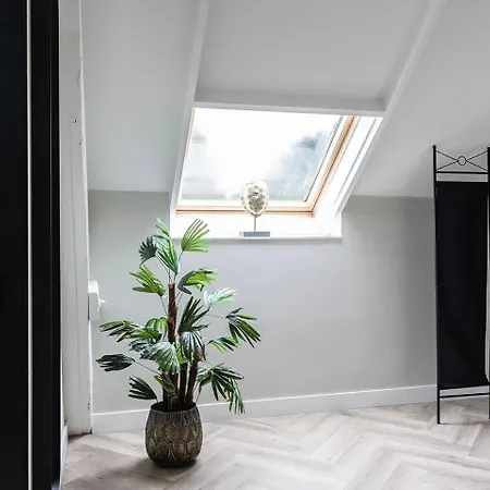 Xxl Loft Center Willem 2