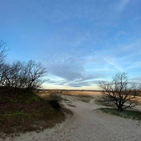 Xxl Loft Center Willem 2 *