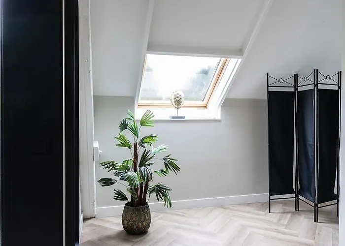 Xxl Loft Center Willem 2