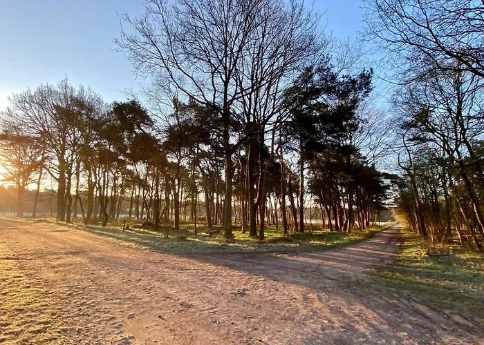 Xxl Loft Center Willem 2