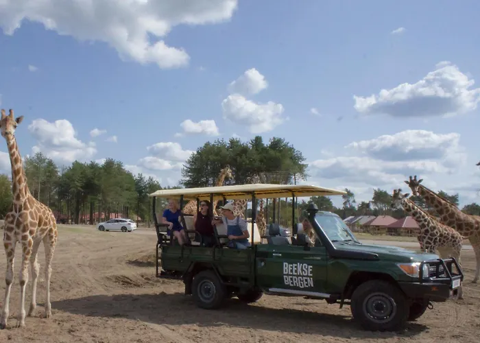 Xxl Loft Center Willem 2 Apartmán